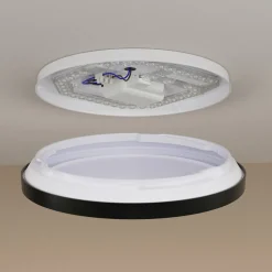 Philips LED-loftlampe Aio RD sort Ø 30 cm fjernbetjening