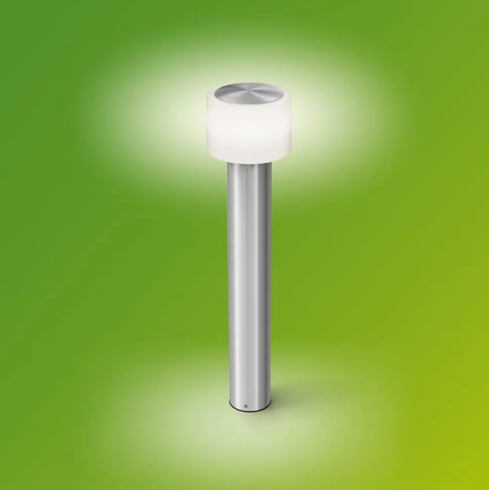 Philips LED-sokkellampe Otis UE, stål, IP44