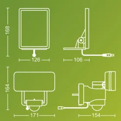 Philips LED-udendørs spotlampe Tylus, sort 5.000K sensor