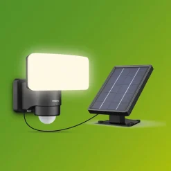 Philips LED-udendørs spotlampe Tylus, sort 5.000K sensor