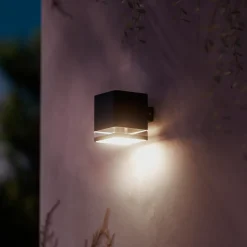 Philips LED-udendørs væglampe Virona, sort, IP44