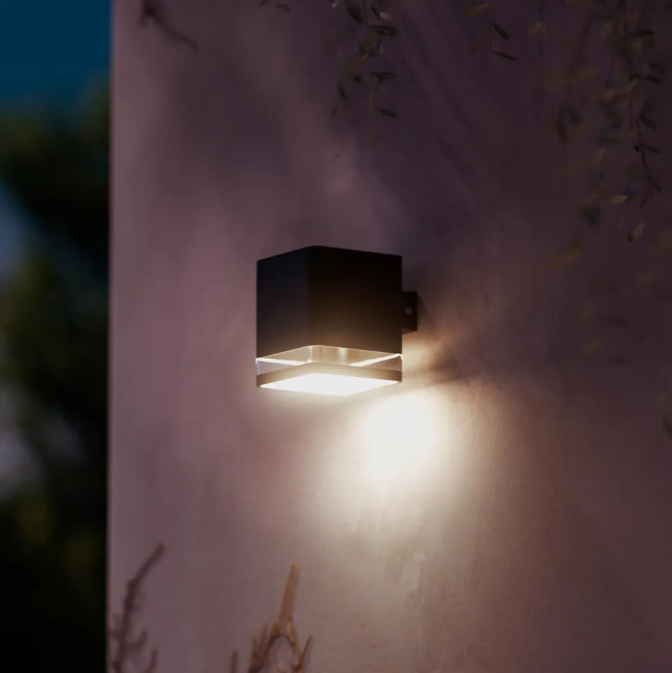 Philips LED-udendørs væglampe Virona, sort, IP44