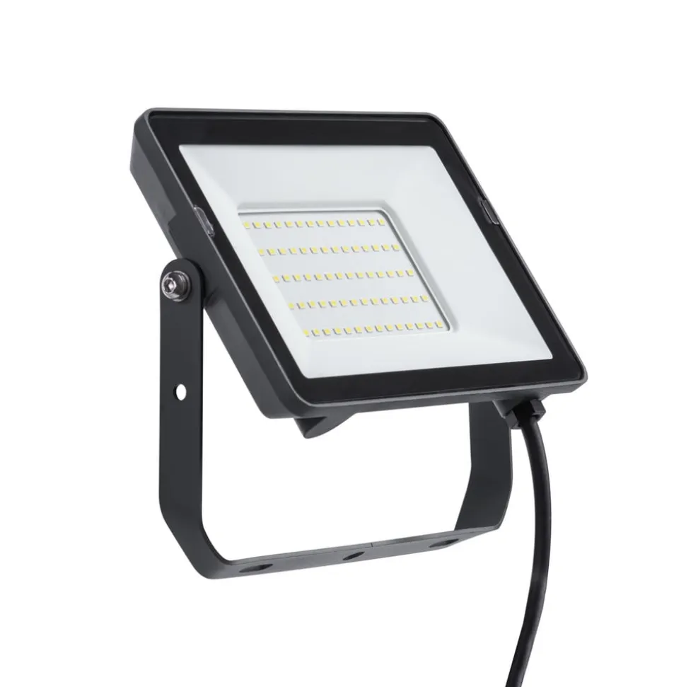 Philips ProjectLine udendørs spotlampe Sensor 4000K 50W