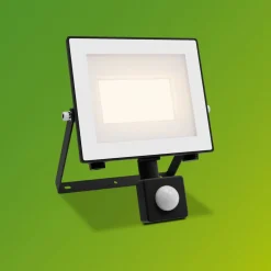 Philips udendørs LED-spot Lois UE Sensor, 14 W, 3.000 K IP65