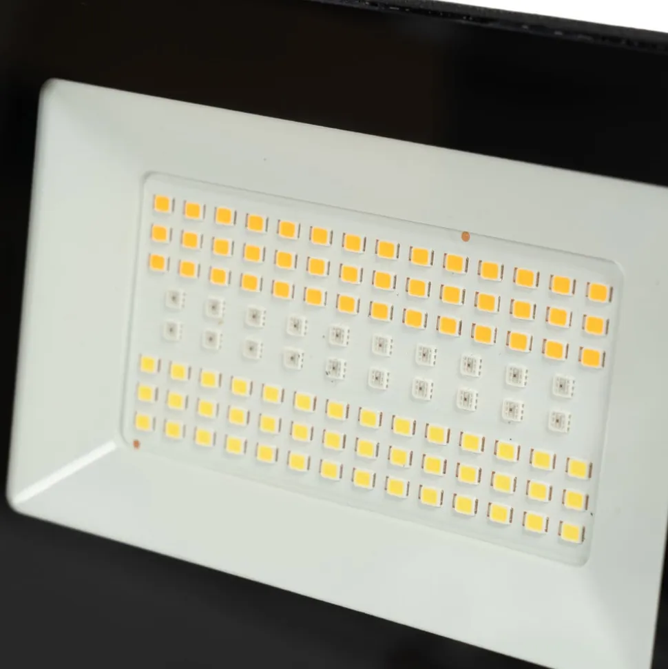 Prios Liezel udendørs LED-spotlampe 30W RGBW Tuya