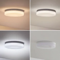 Prios Wynion LED-loftslampe CCT DIP-kontakt 30 cm