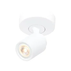 Razza loftspot, hvid, Ø 13 cm, metal