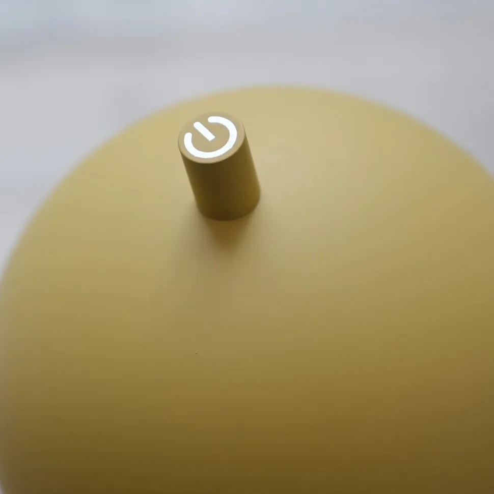 Schöner Wohnen LED-akku-gulvlampe Bellies, Blütenzauber IP54