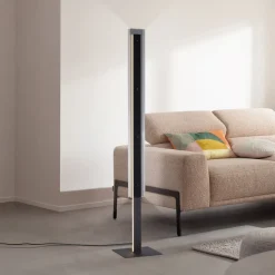 SCHÖNER WOHNEN LED-gulvlampe Lena, jern, sort, dæmper
