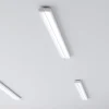 Siteco Taris LED-loftlampe, 123 cm, EVG-DALI