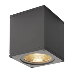 SLV Big Theo LED udendørs loftslampe, antracit
