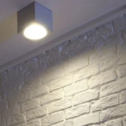 SLV Big Theo udendørs loftslampe, grå