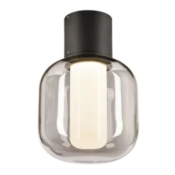 SLV Ovalisk LED udendørs loftslampe CCT