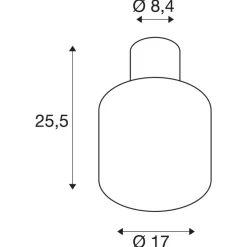 SLV Ovalisk LED udendørs loftslampe CCT