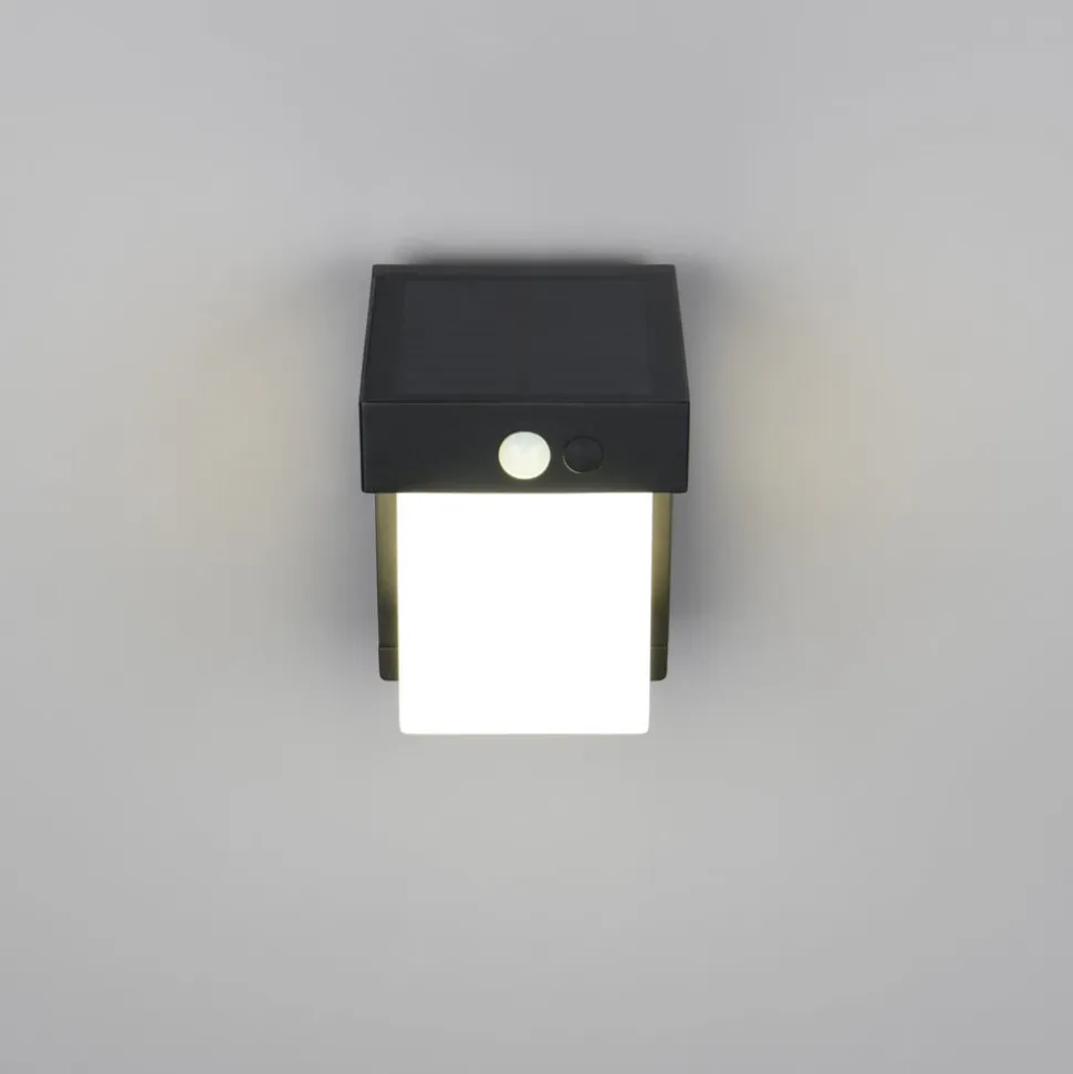 Solar-væglampe Colombo, sort mat, højde 14 cm, sensor