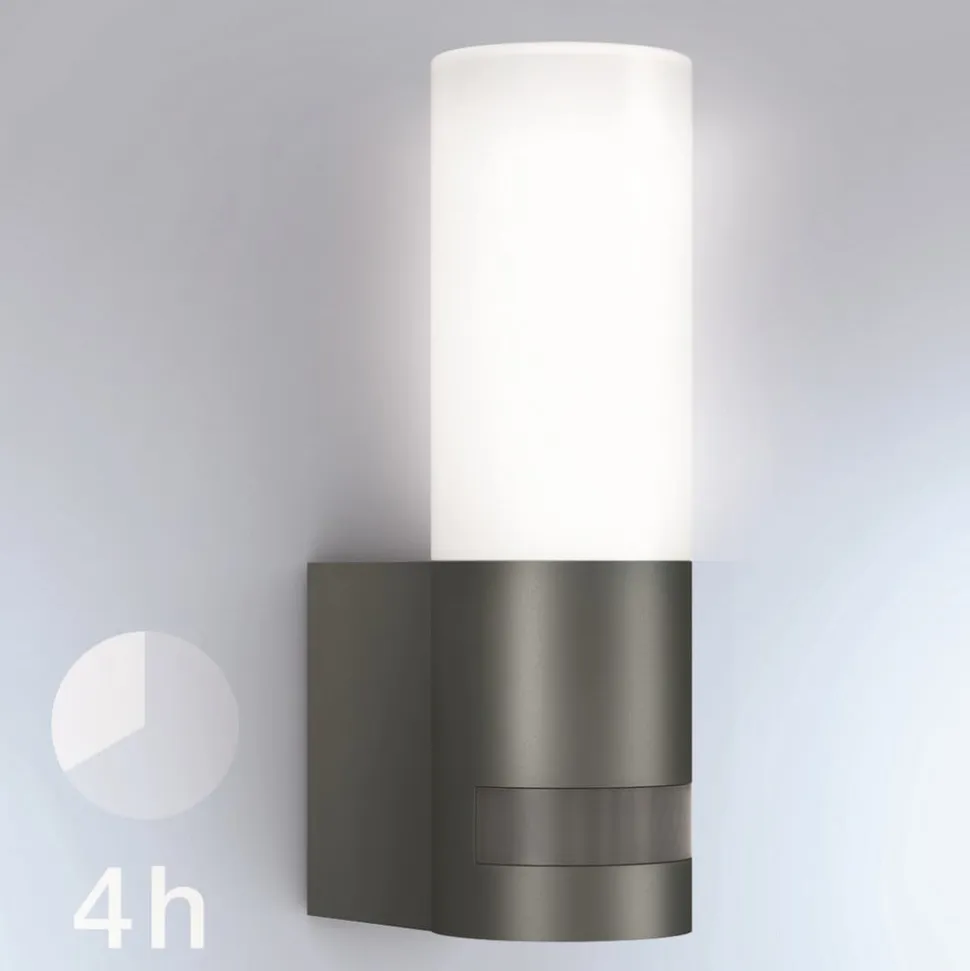 STEINEL L 605 S udendørs LED-væglampe, sensor IP44