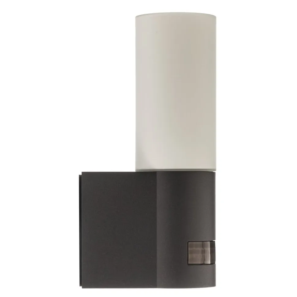 STEINEL L 605 S udendørs LED-væglampe, sensor IP44