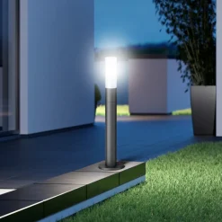 STEINEL LED-gadelampe GL 65, 3.000 K