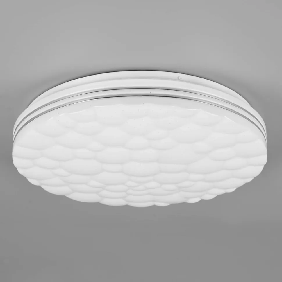 Tiger LED-loftlampe RGB CCT starlight-effekt