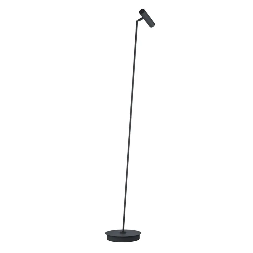 Tom Pro LED-gulvlampe, sort, 1 lyskilde, CCT, dæmper