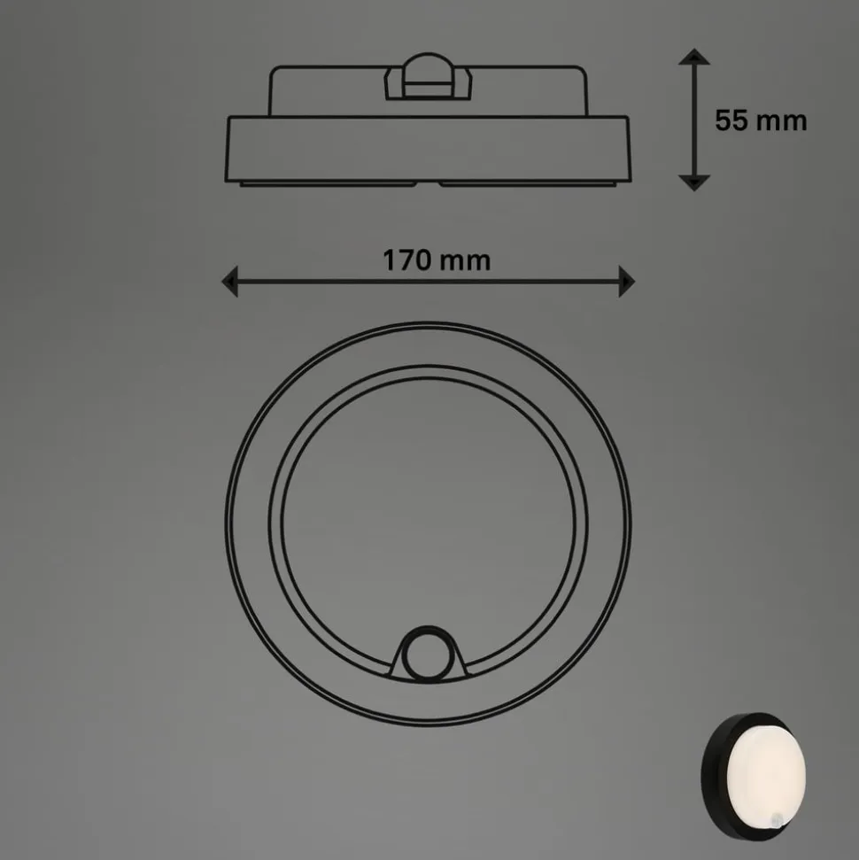 Udendørs LED-væglampe 3765015, sensor, sort