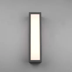 Udendørs LED-væglampe Fuerte, antracit, aluminium, IP54