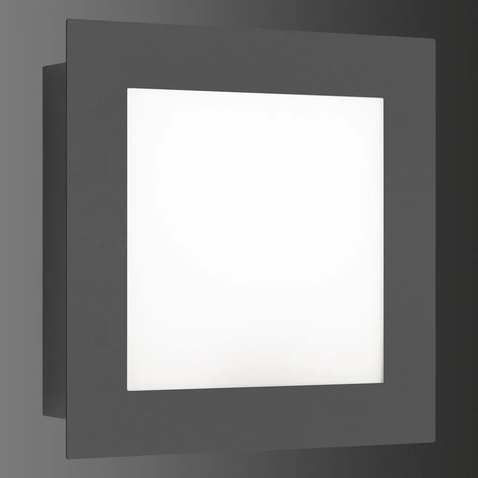 Udendørs LED-væglampe 3007LEDSEN bevægelsessensor