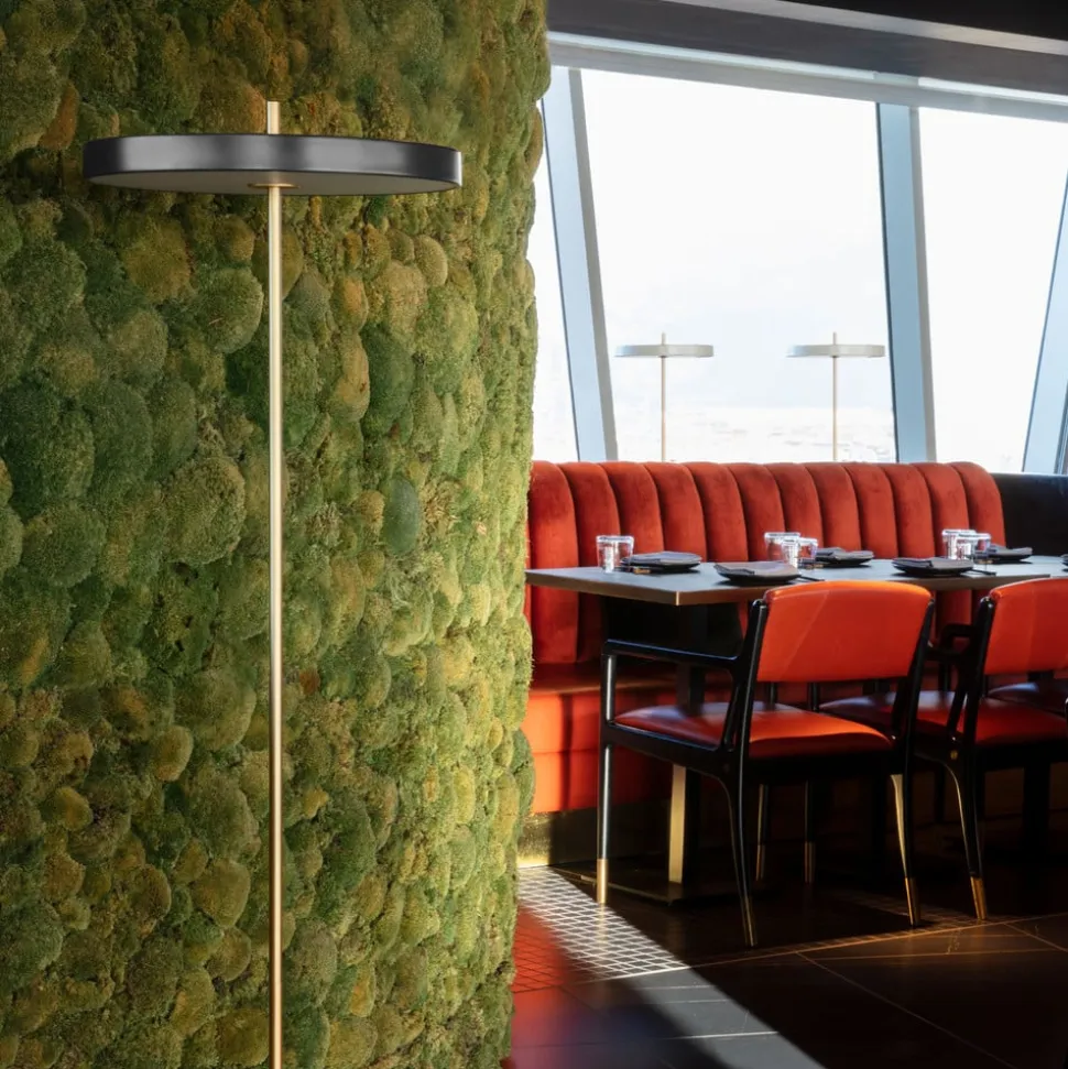 UMAGE Asteria Floor LED-gulvlampe, antracit