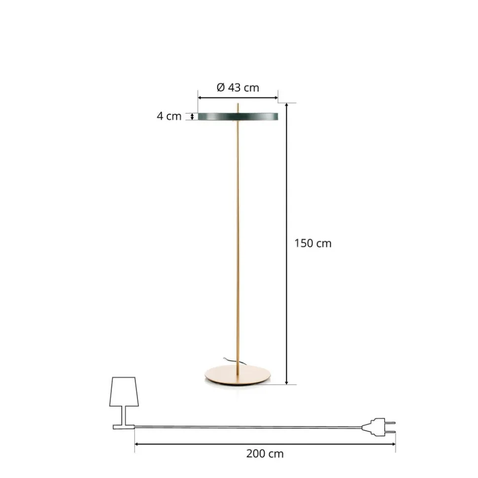 UMAGE Asteria Floor LED-gulvlampe, skovgrøn