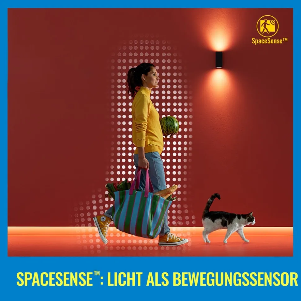 WiZ A60 LED-pære mat WiFi E27 8,5W RGBW 2-pak